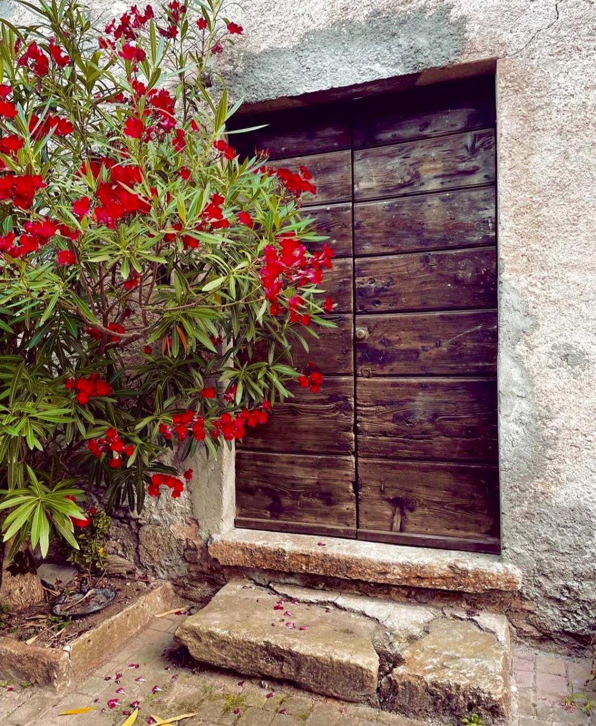 Agriturismo La Vecchia Chioderia Grandola ed Uniti Luaran gambar