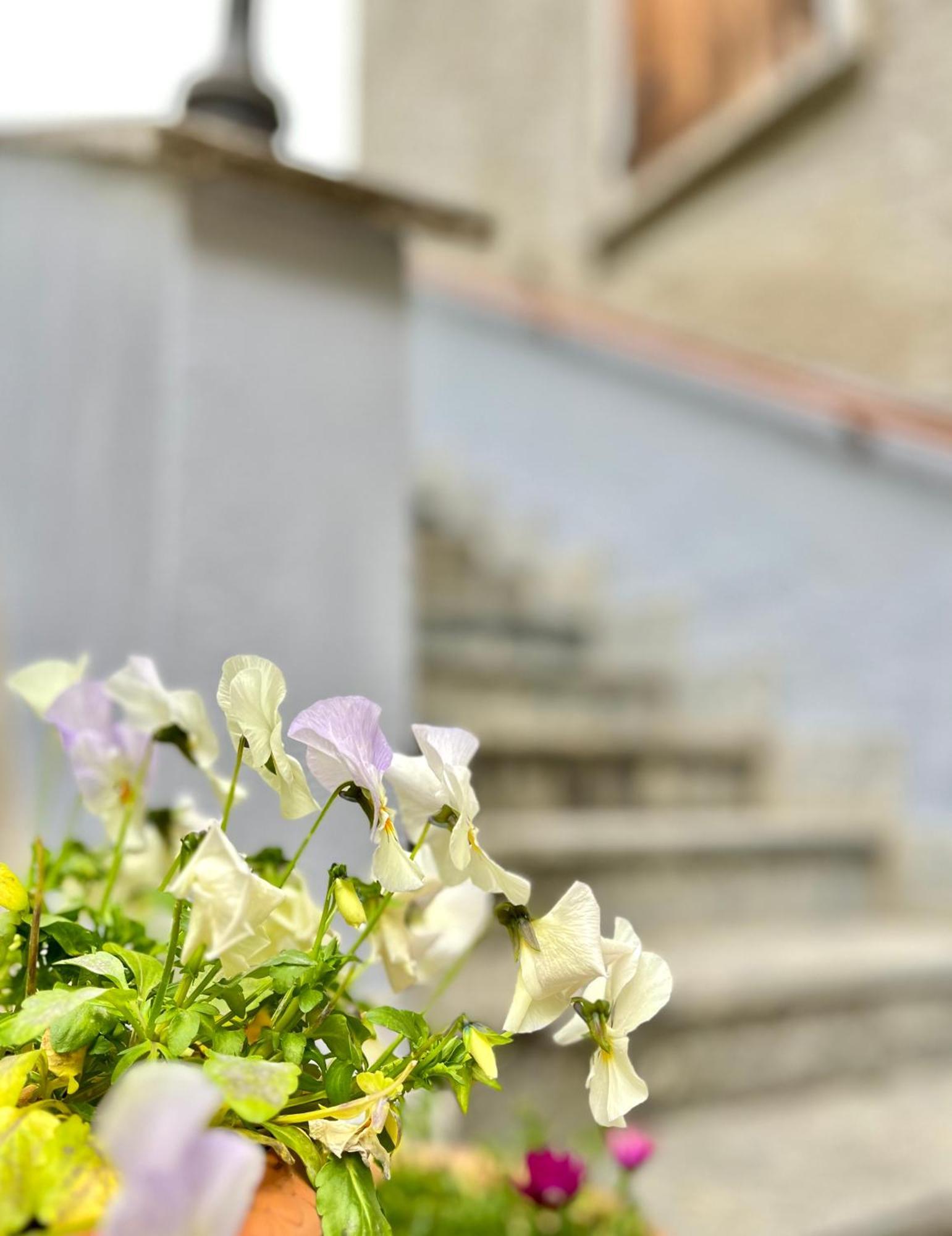 Agriturismo La Vecchia Chioderia Grandola ed Uniti Luaran gambar