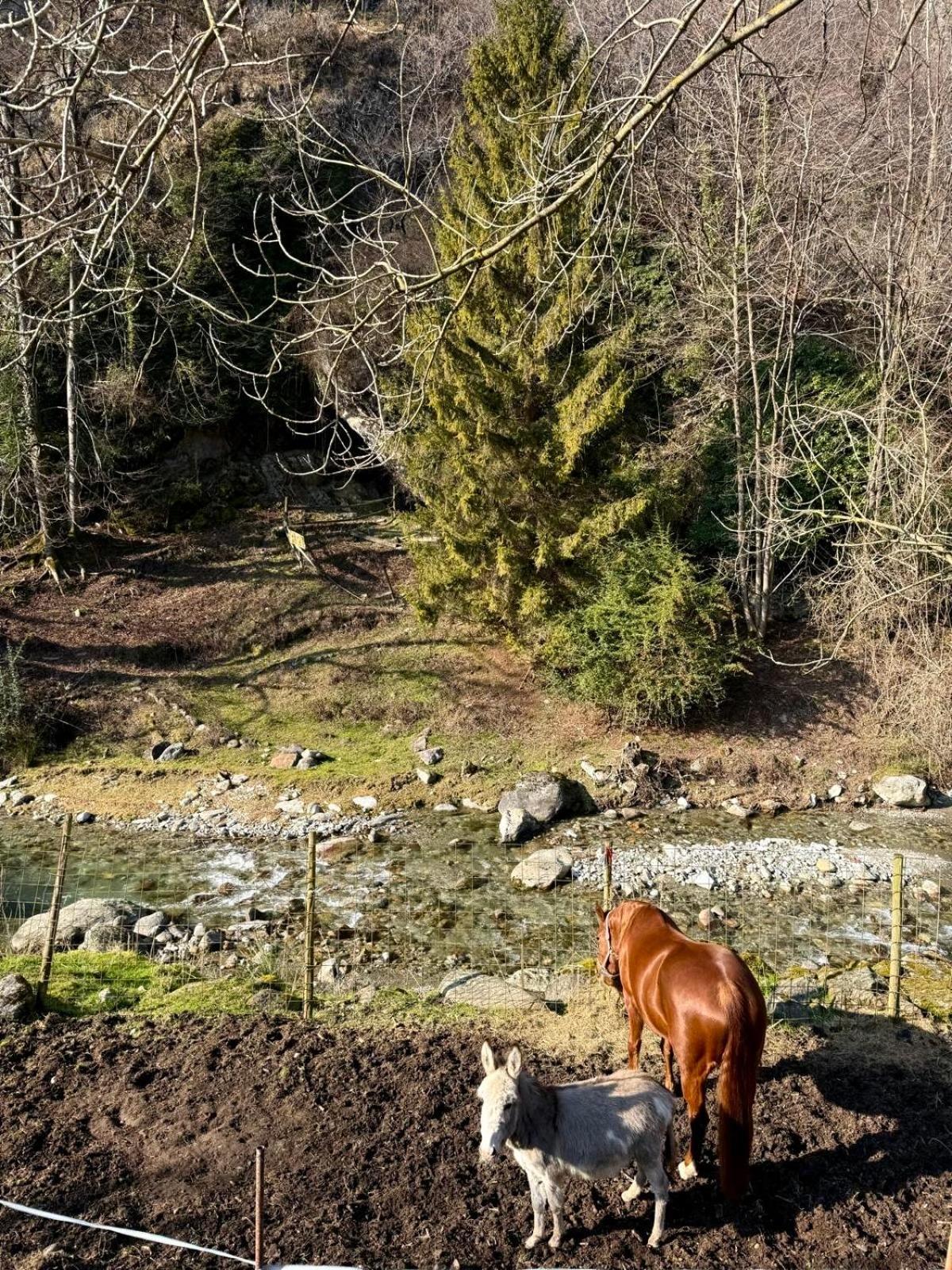 Agriturismo La Vecchia Chioderia Grandola ed Uniti Luaran gambar