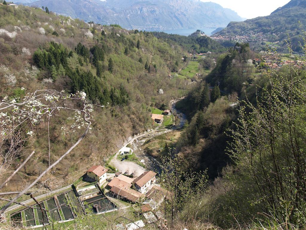 Agriturismo La Vecchia Chioderia Grandola ed Uniti Luaran gambar