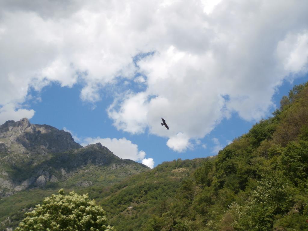 Agriturismo La Vecchia Chioderia Grandola ed Uniti Luaran gambar